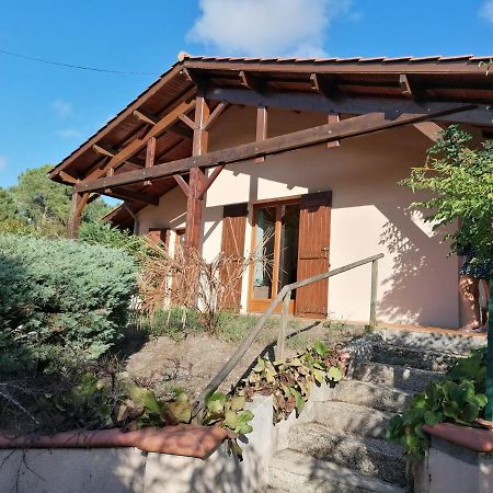 Maison Au Dessus Du Lac De Biscarrosse Dış mekan fotoğraf