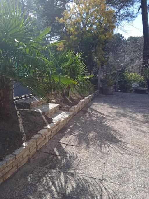 Maison Au Dessus Du Lac De Biscarrosse Dış mekan fotoğraf